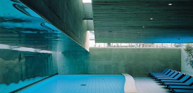 Schwarzer Adler