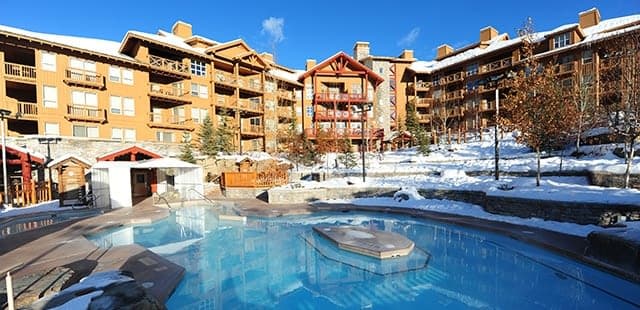 Ski Tip or Tamarack