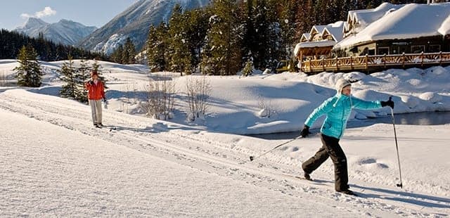 Ski Tip or Tamarack