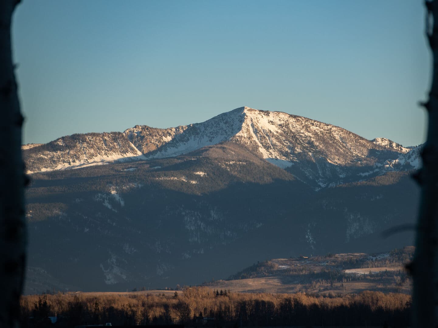 View from deck