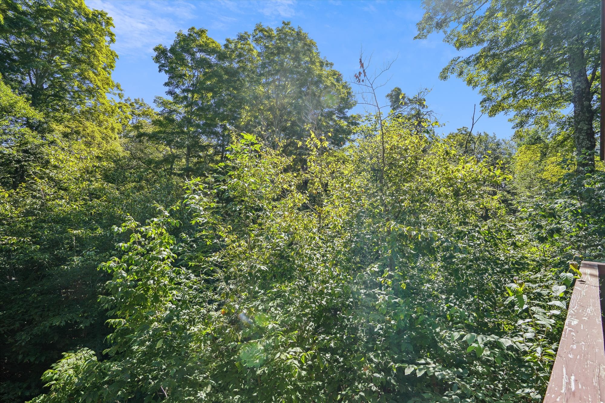 View around your lodging