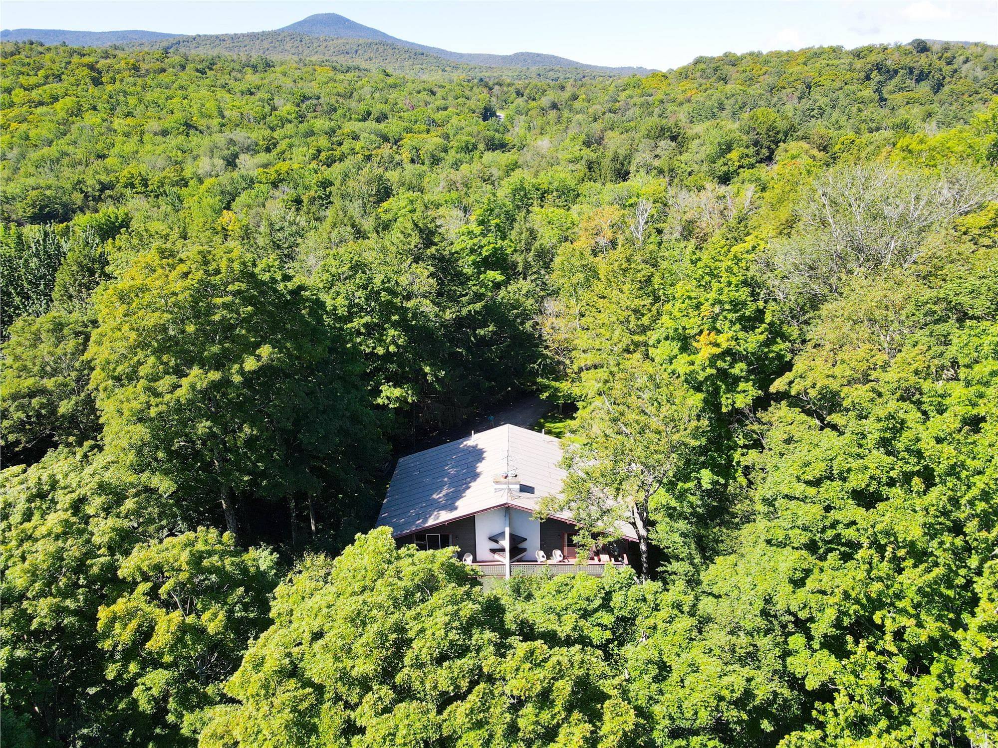 Nestled in between the trees.