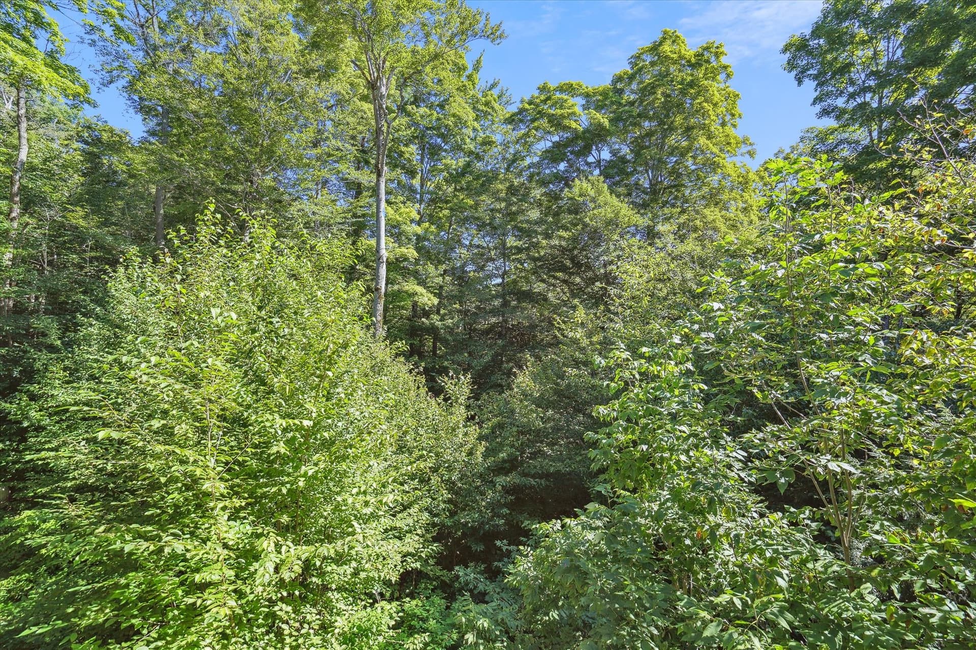 View around your lodging.