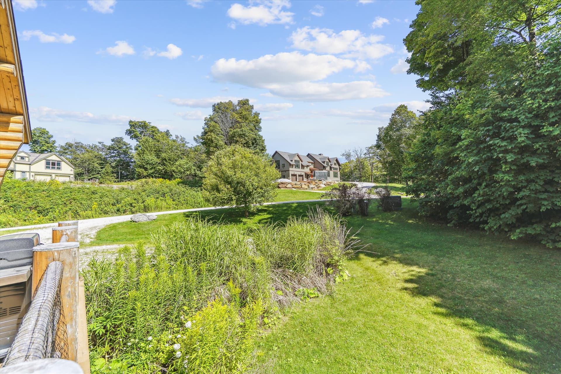 Trees and shrubs abound the driveway.