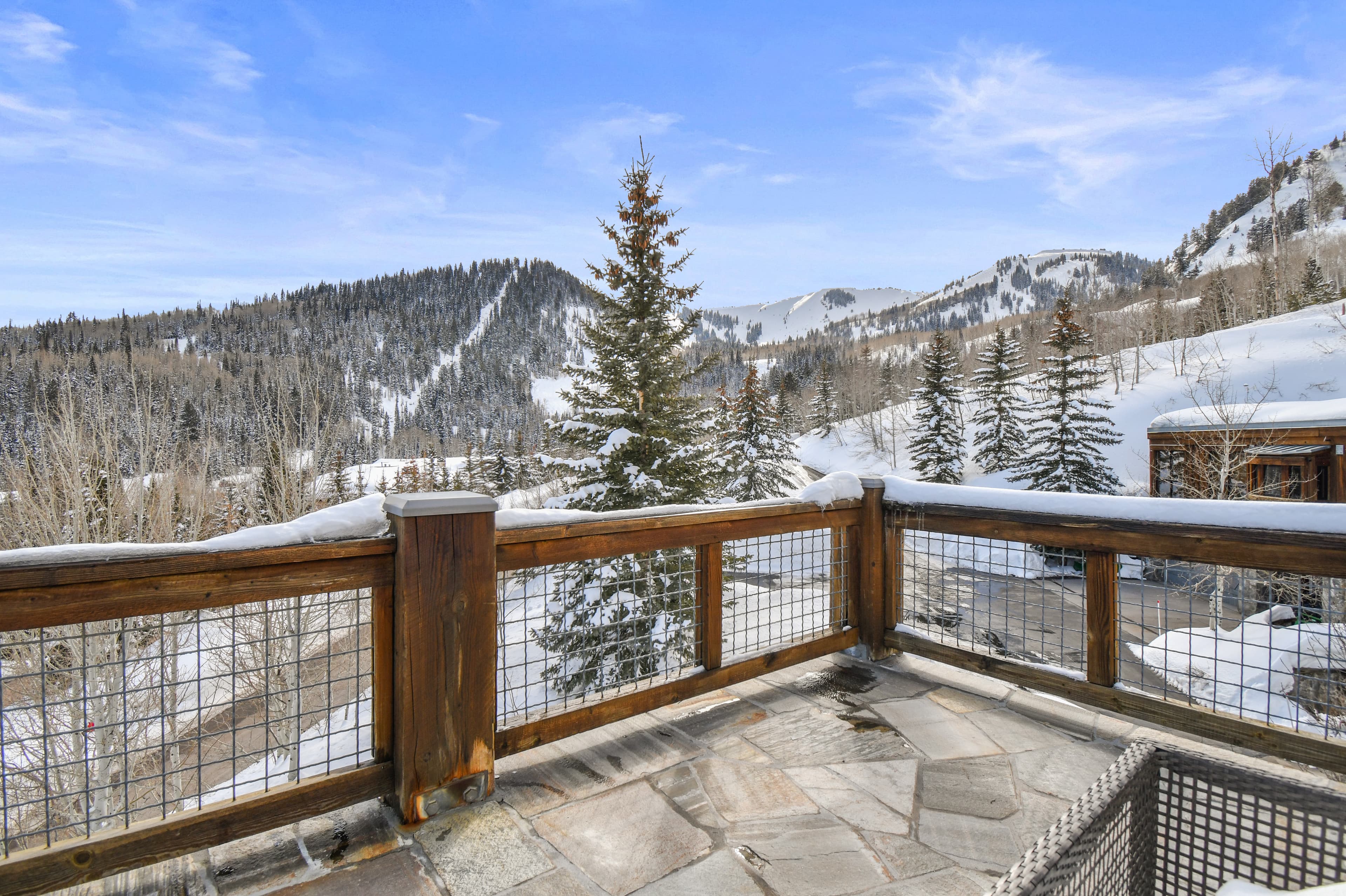 A daytime photo of the snow and tree covered mountains visible from the patio of Talus Ridge.