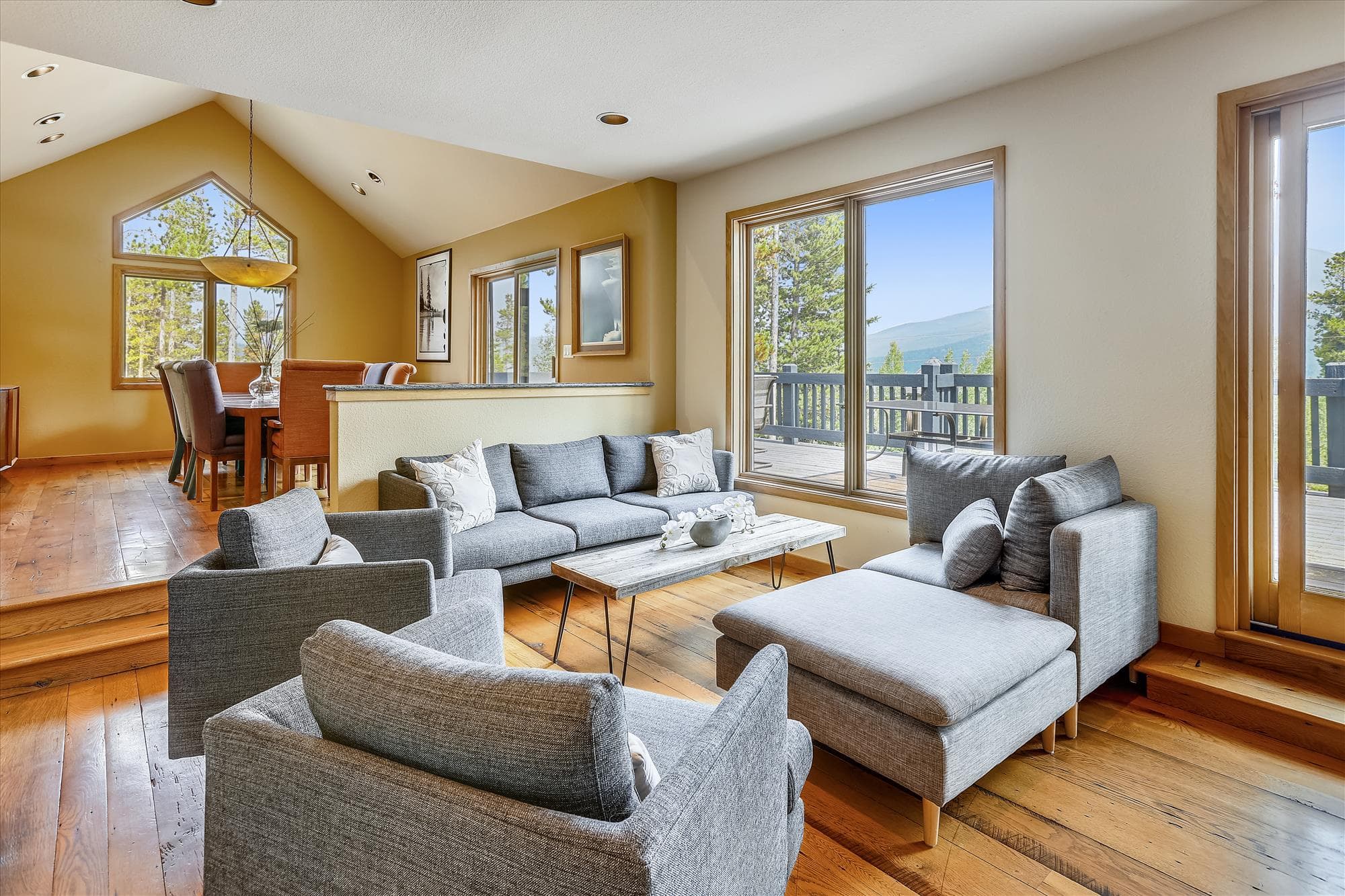 Living Room, The Duck House, Breckenridge Vacation Rental