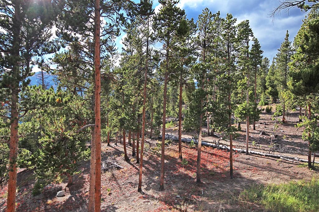 Exterior - Dunkin Hill Lodge - Breckenridge Vacation Rental