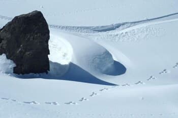 Ski Hill