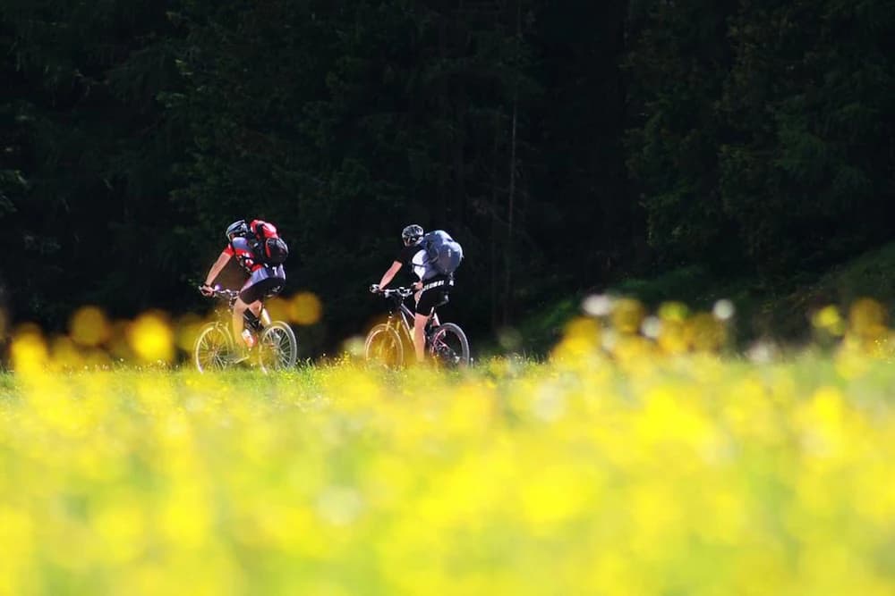 Bicycling