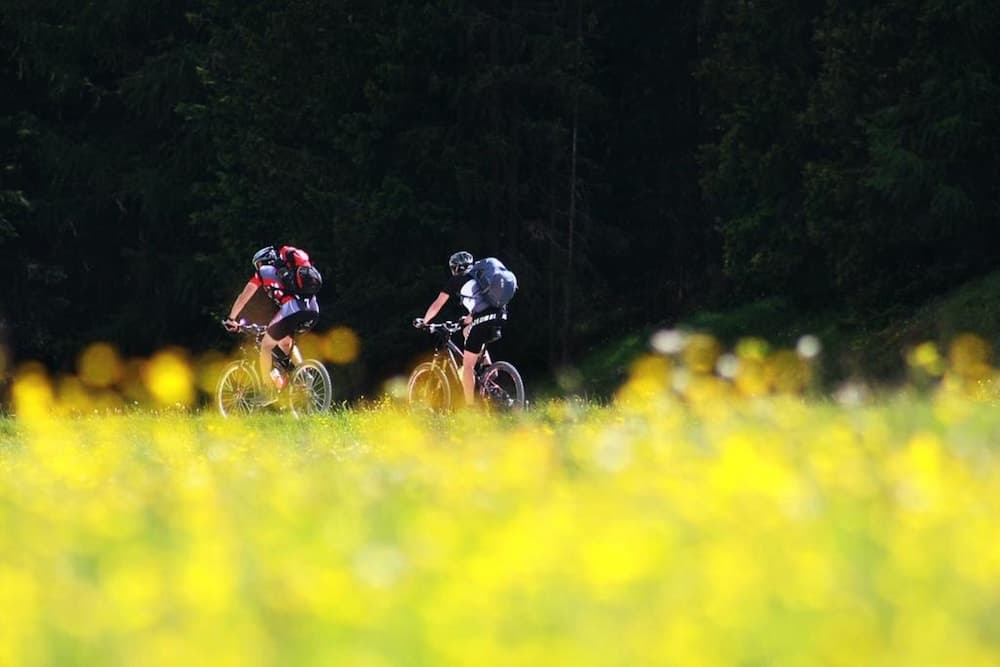 Bicycling