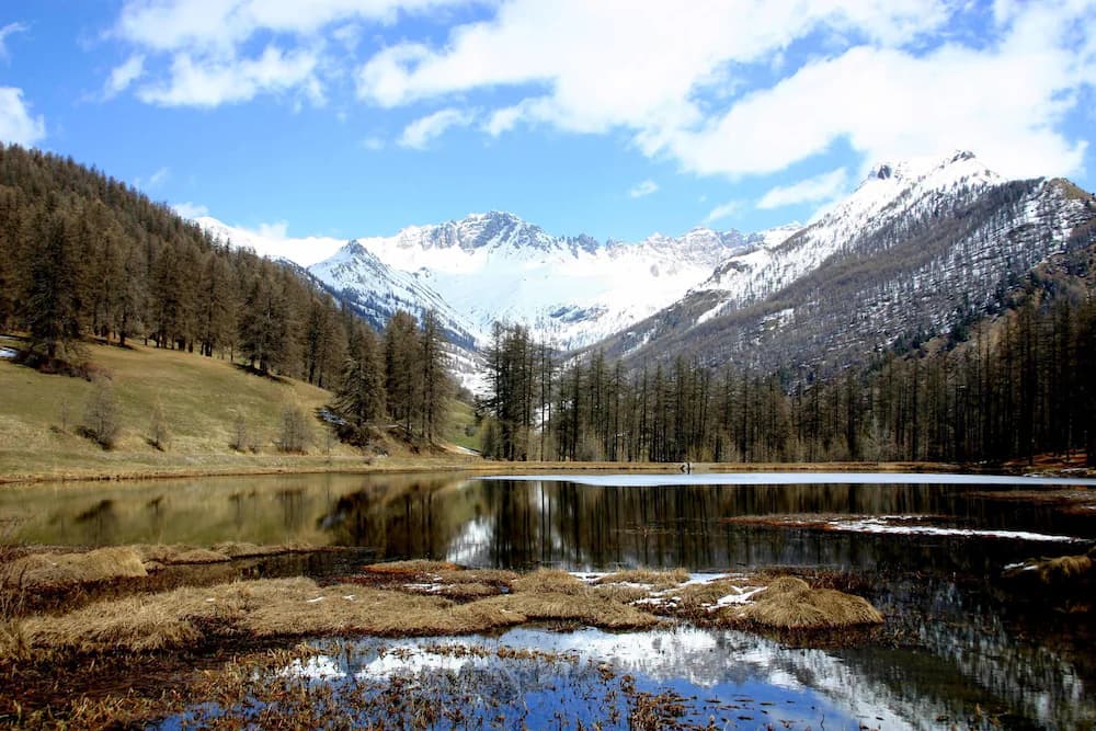 Lake View