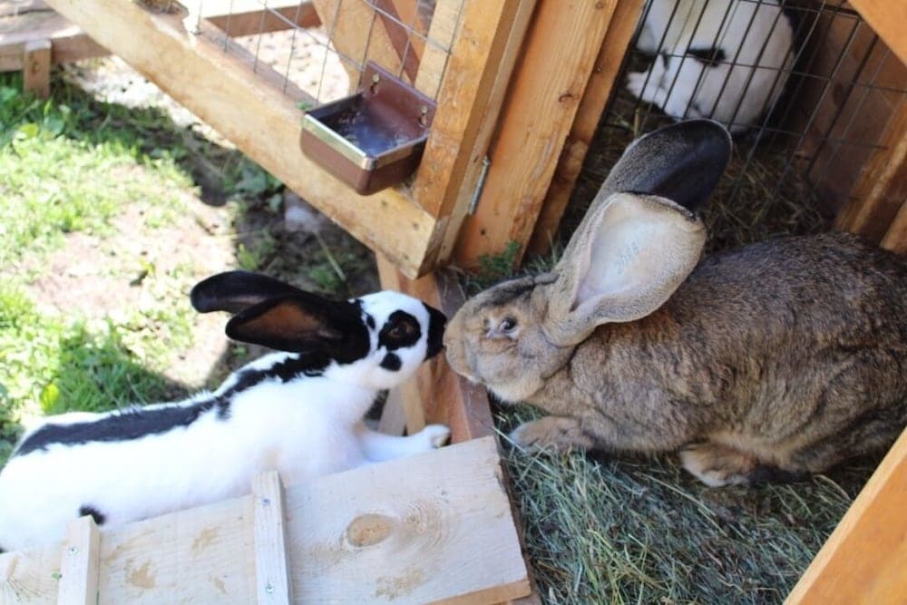 Children’s Activities
