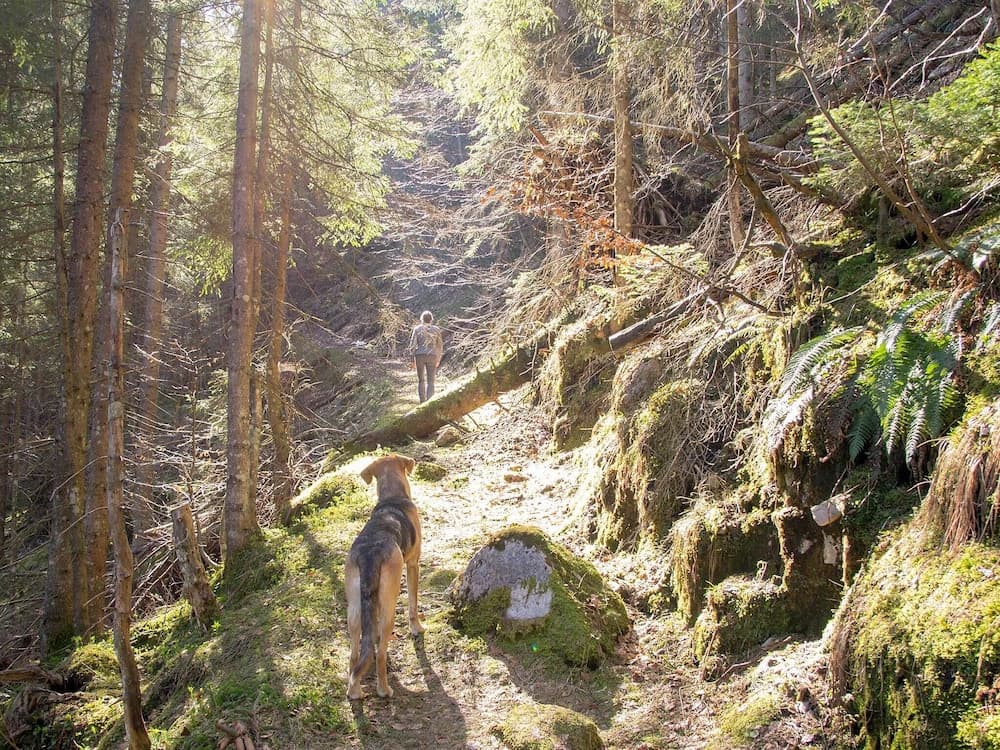 Hiking