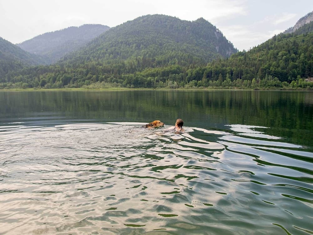 Lake