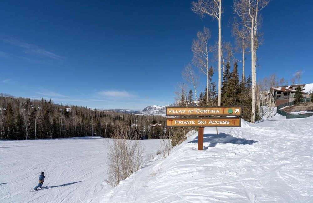 Skiing