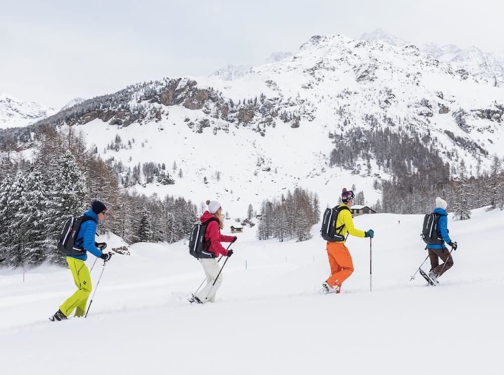 Snowshoeing