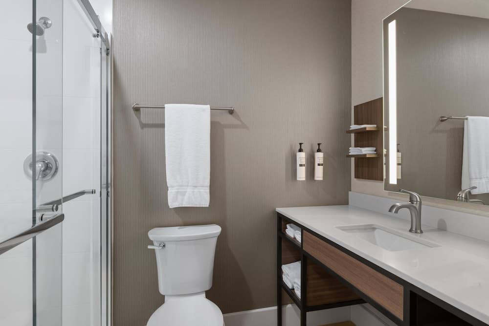 Bathroom shower