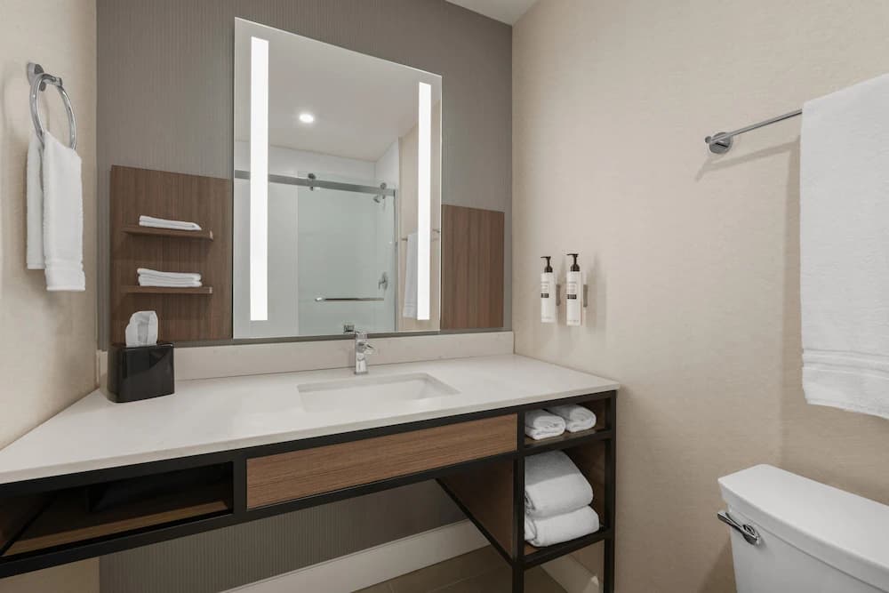 Bathroom shower
