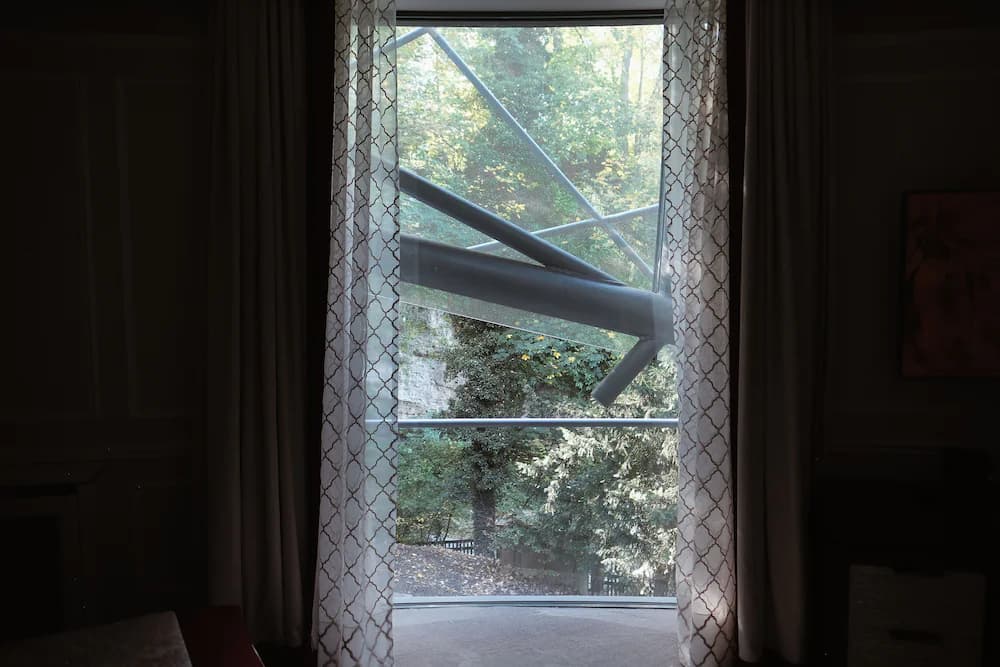 Garden view