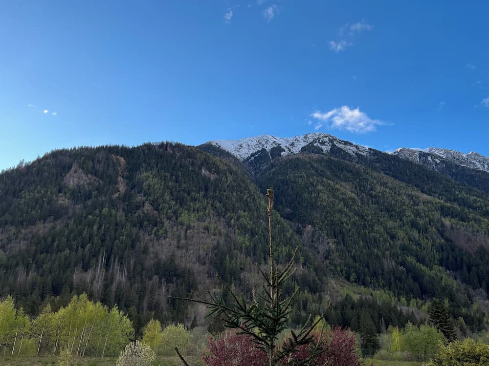View from room