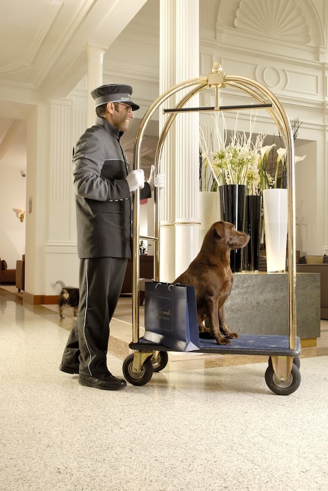 Pet-friendly