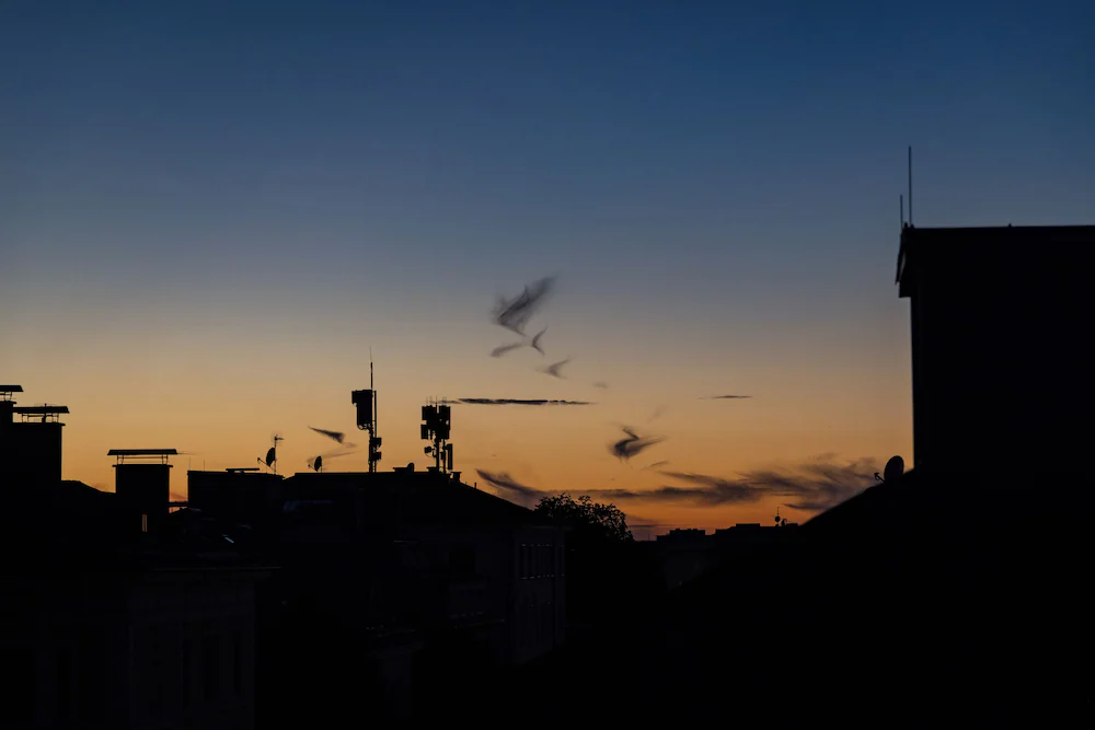 City view