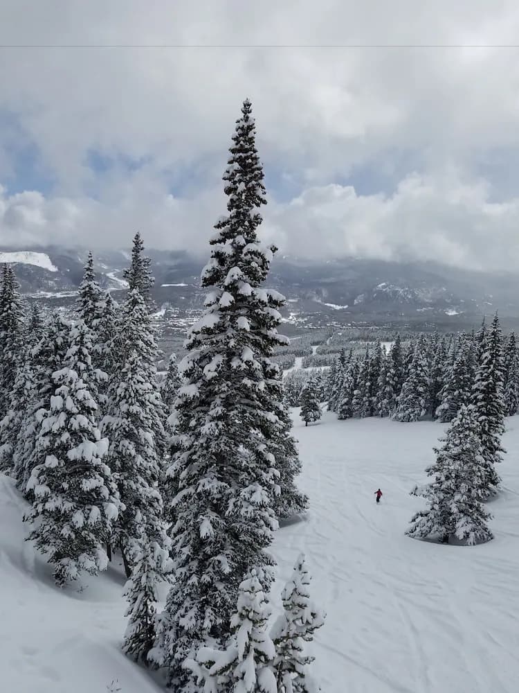 Skiing