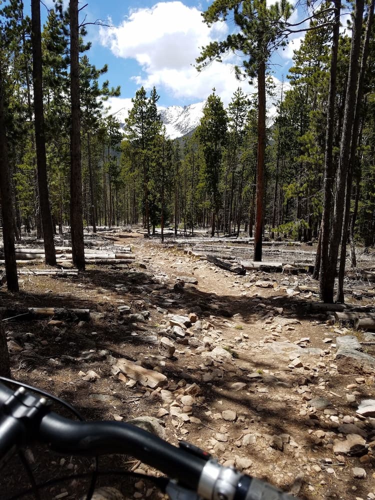 Bicycling