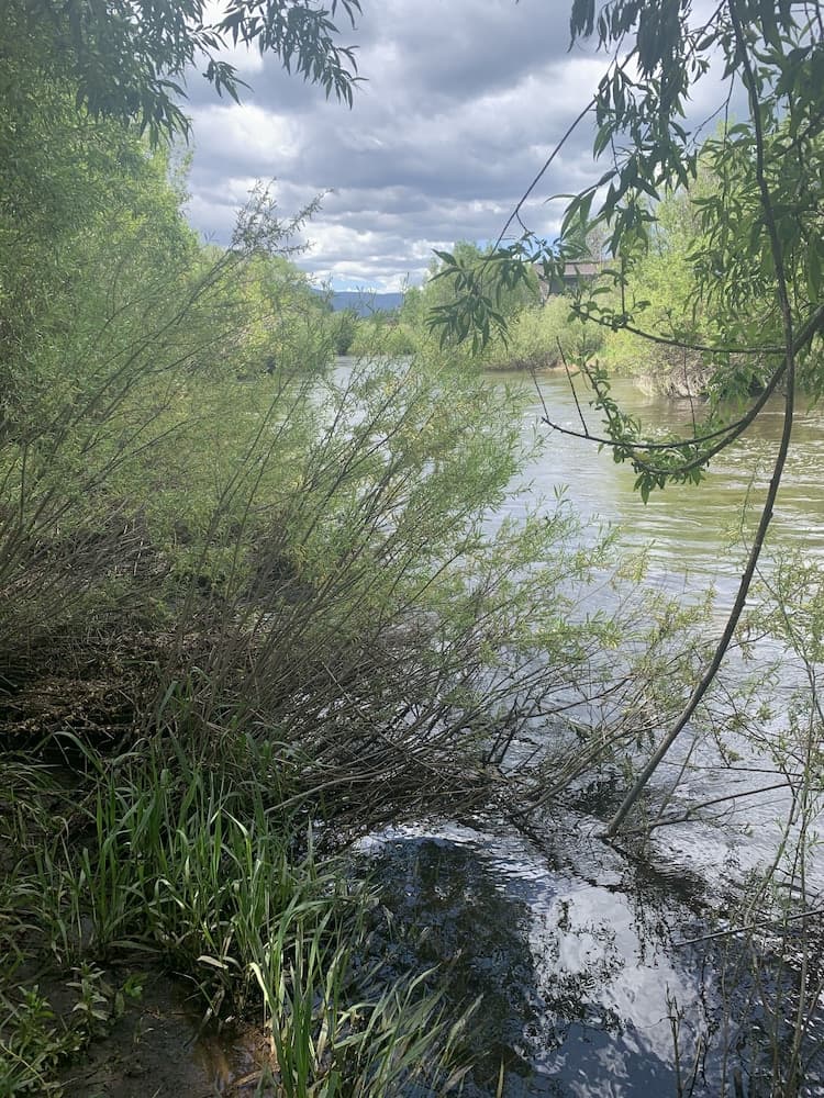 Hiking