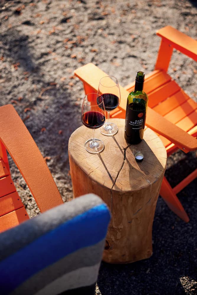 BBQ/picnic area