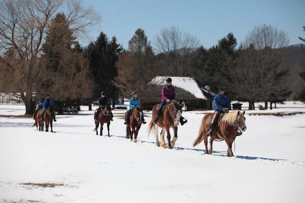 Horseback riding