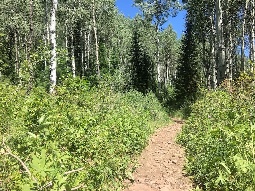 Hiking