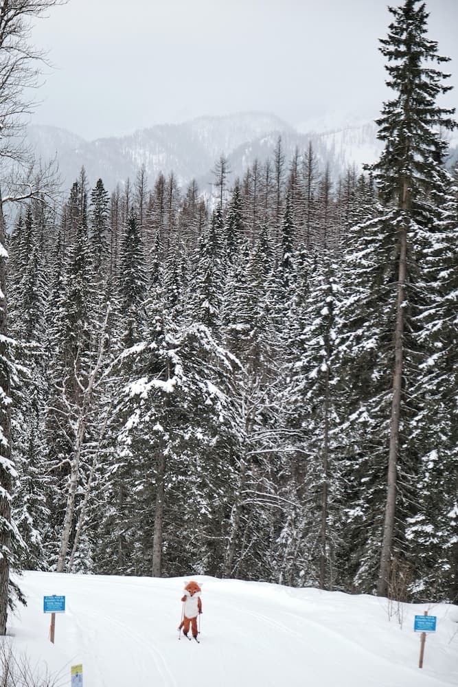Snow and ski sports