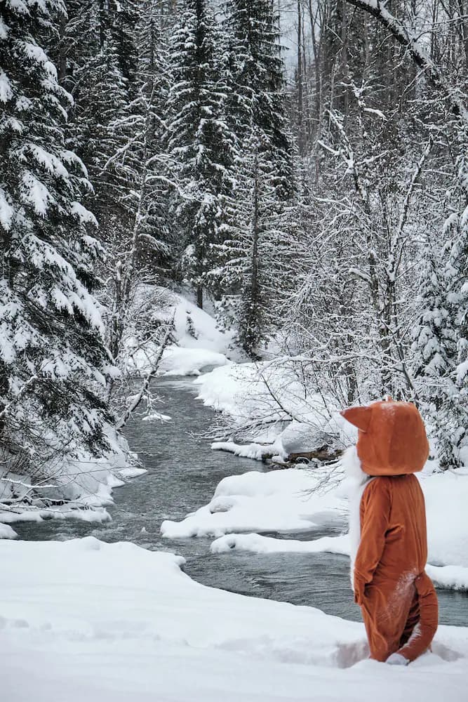 Snowshoeing