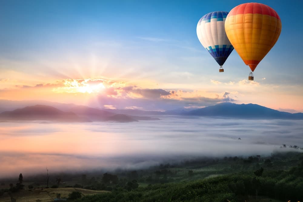 Helicopter/plane tours