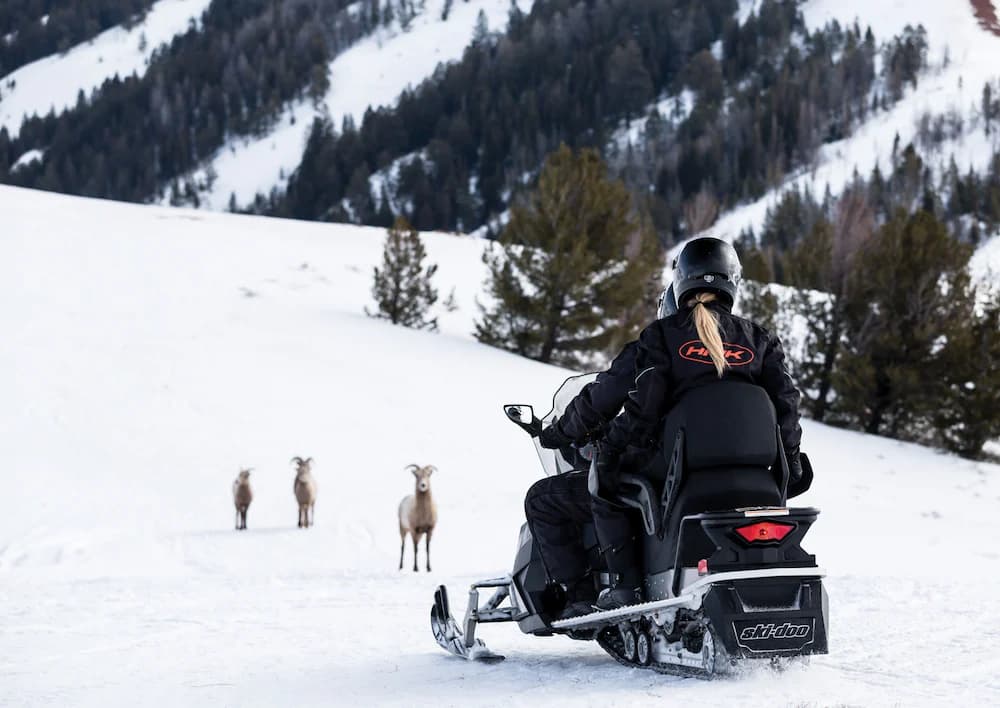 Snowmobiling