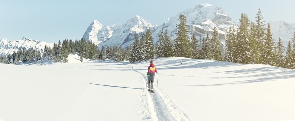 Snowshoeing