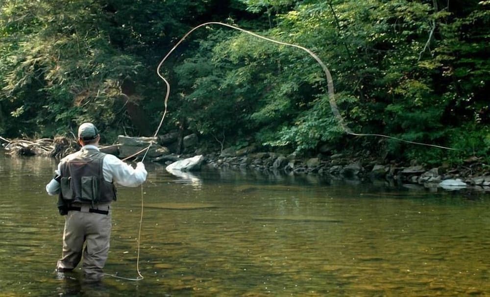 Fishing