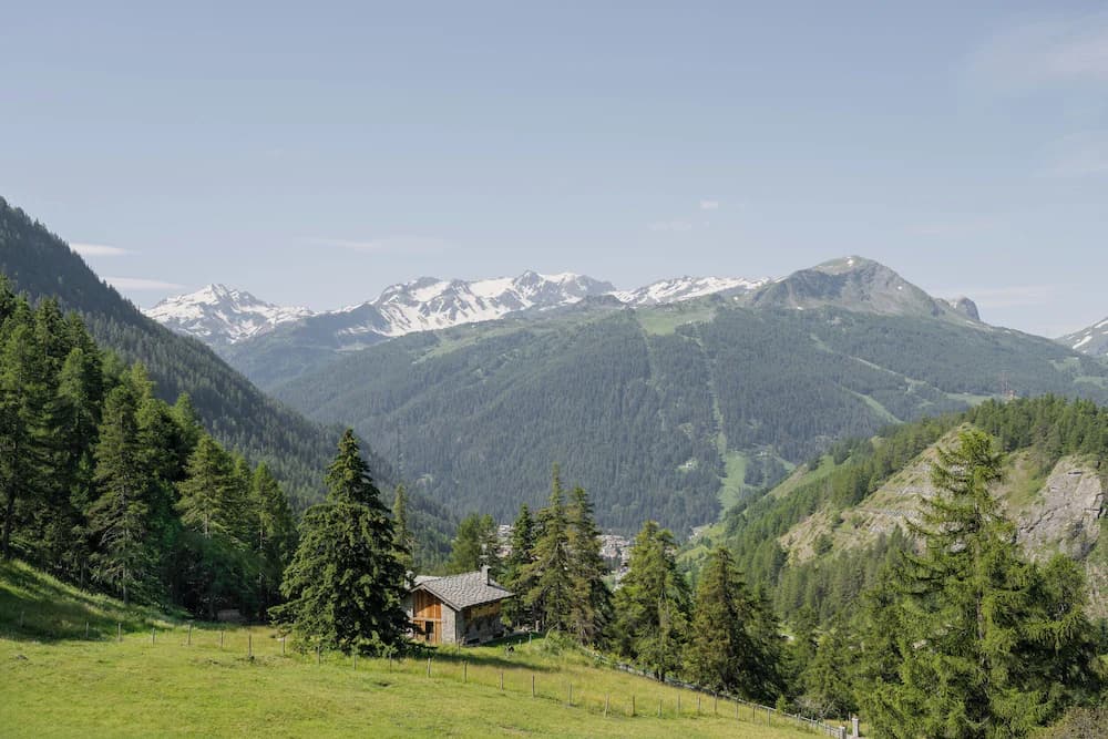 View from property