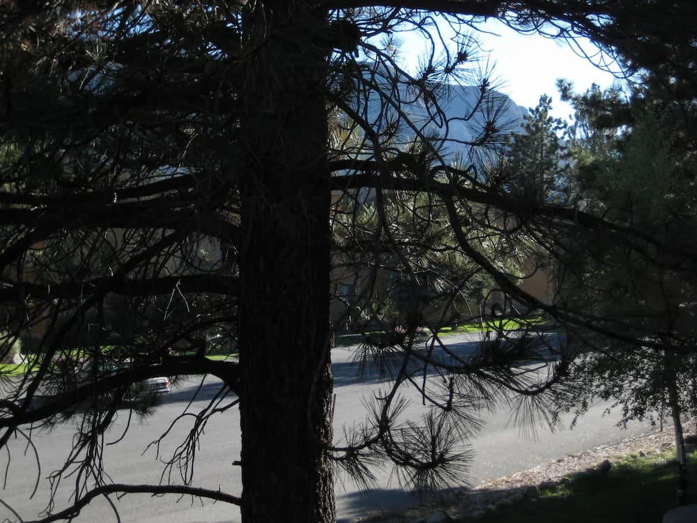 View from room