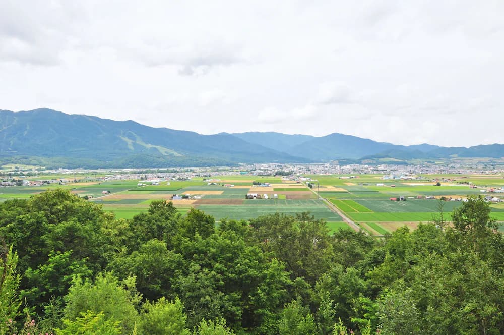View from property