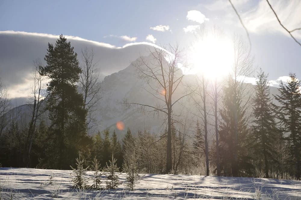 Mountain view