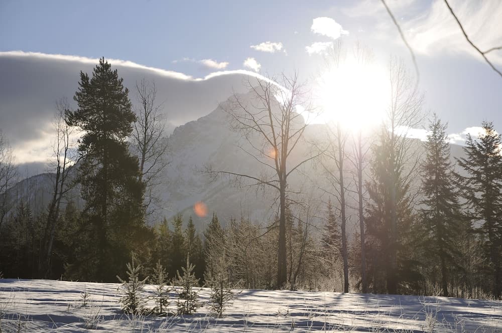 Mountain view