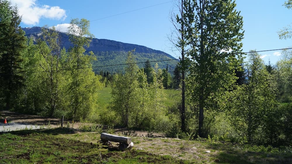 Mountain view