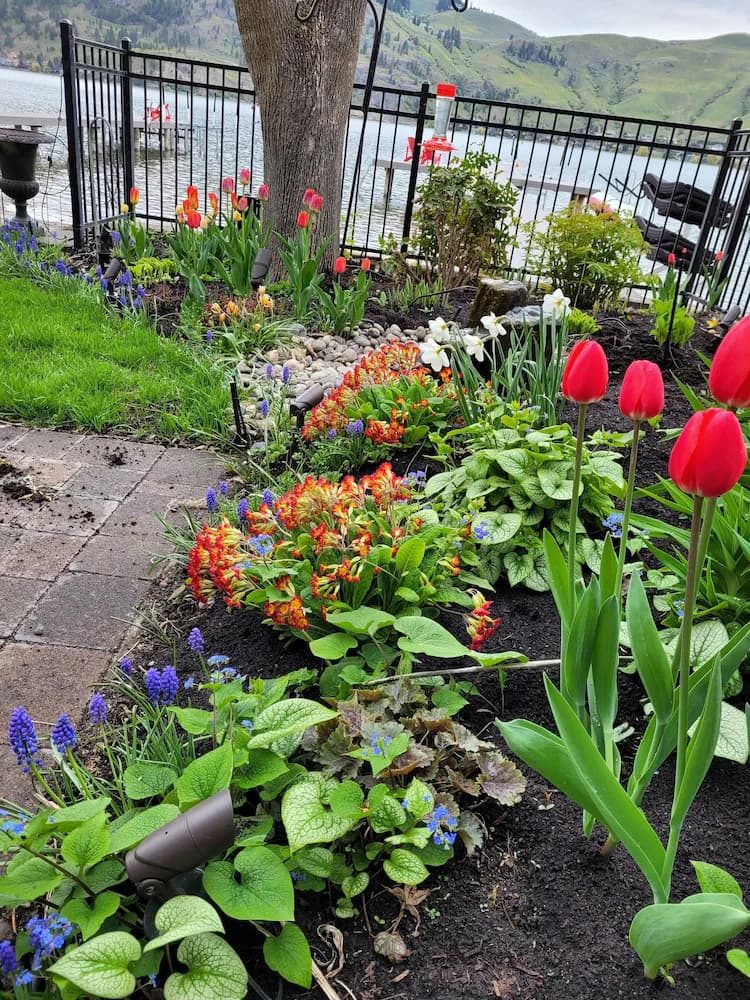 Garden view