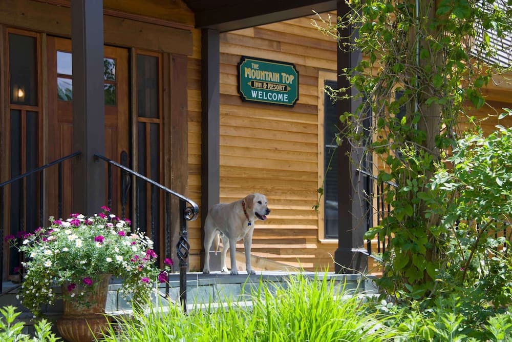 Property entrance
