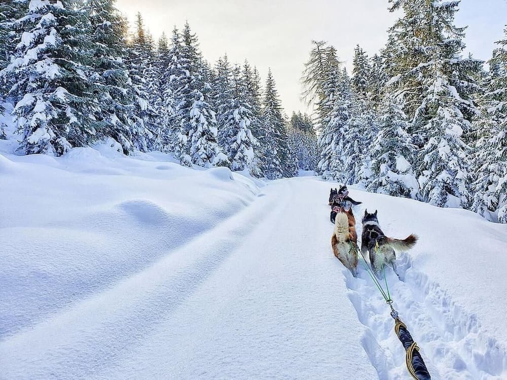Sledding