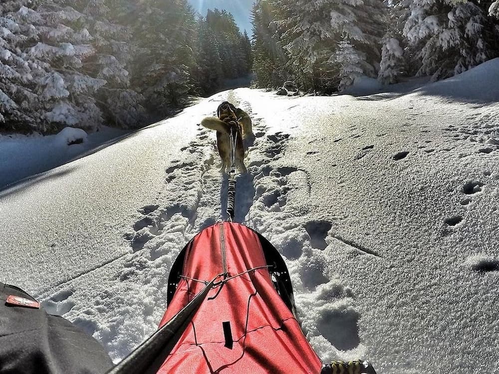 Sledding