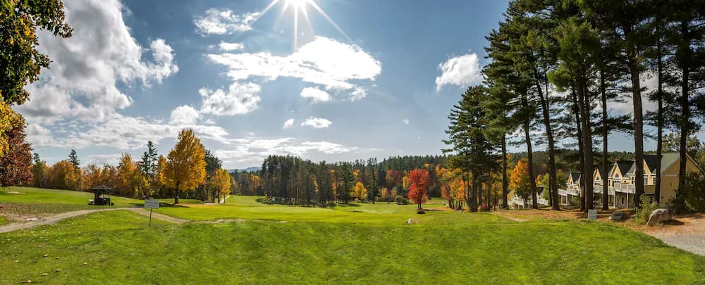Golf view