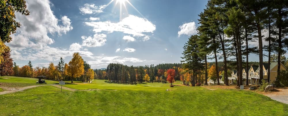 Golf view